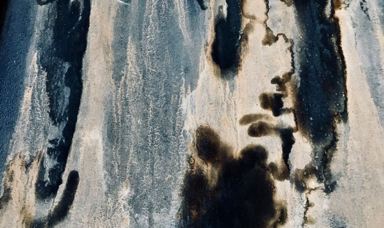 Schimmelbefall an einer Wand